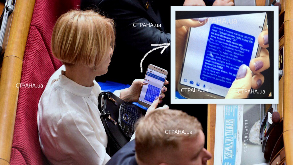 лиза.jpg