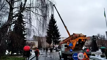 В Житомире установили новогоднюю ёлку: ФОТО, ВИДЕО