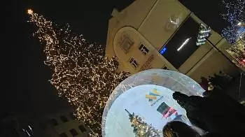 В Житомире зажгли новогоднюю ёлку — на праздник пришли сотни житомирян (фото / видео)