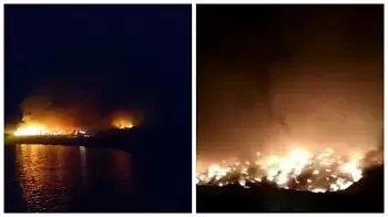 Масштабный ночной пожар на городской свалке в Житомире — город окутал едкий дым (ВИДЕО)